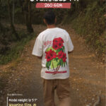 cover image 11 (1)