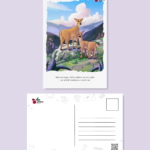 Musk Deer Postcard